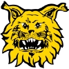 Ilves Tampere