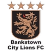 Bankstown City Lions