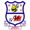 Holyhead Hotspur