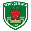 Kestel Çilek