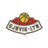 Gjøvik-Lyn