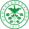 HamKam II