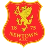 Newtown AFC