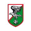 Sokół Kleczew