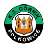 Górnik Polkowice