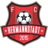 AFC Hermannstadt