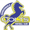 Cumbernauld Colts