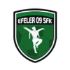Efeler 09 Spor