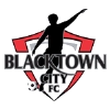 Blacktown City