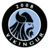 Vikingur Gota